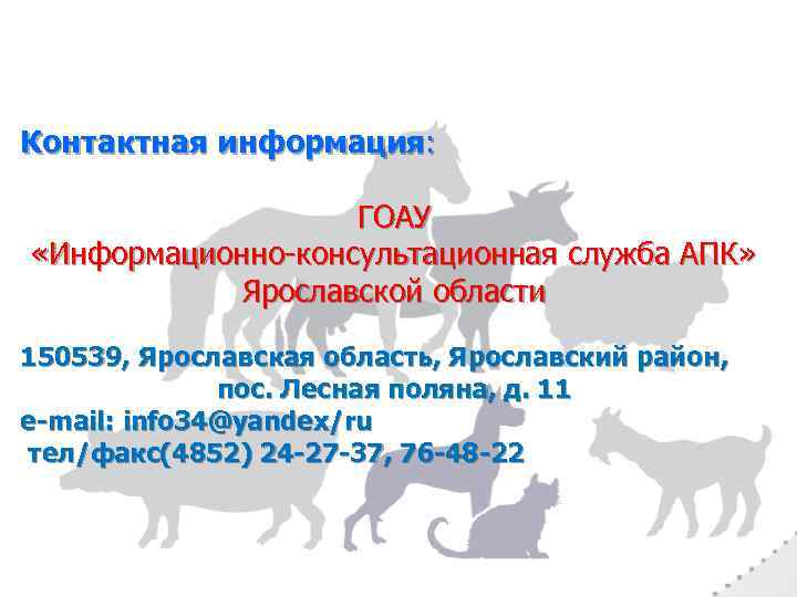 Контактная информация: ГОАУ «Информационно-консультационная служба АПК» Ярославской области 150539, Ярославская область, Ярославский район, пос.