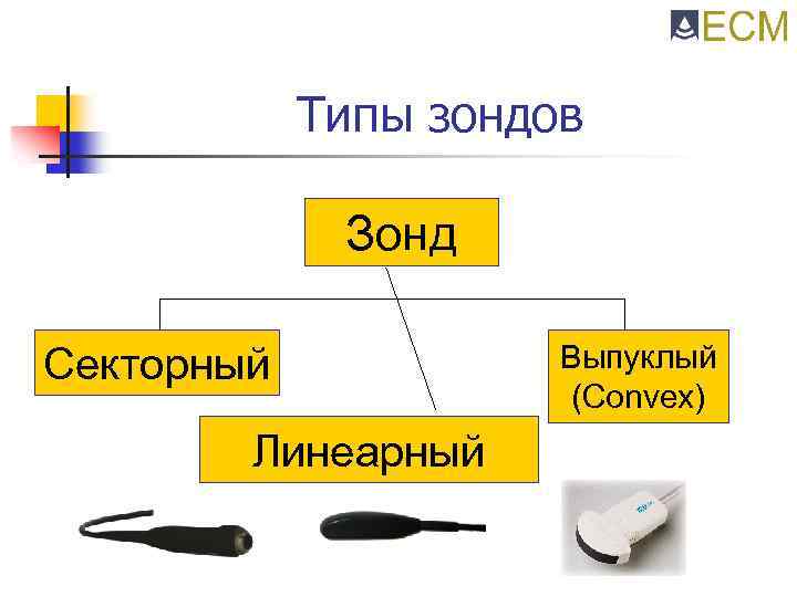 Типы зондов Зонд Секторный Линеарный Выпуклый (Convex) 