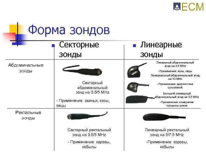 Форма зондов n Секторные зонды n Линеарные зонды Линеарный абдоминальный зонд на 3. 5