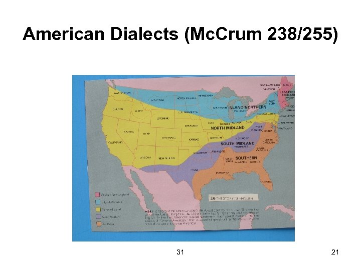 American Dialects (Mc. Crum 238/255) 31 21 