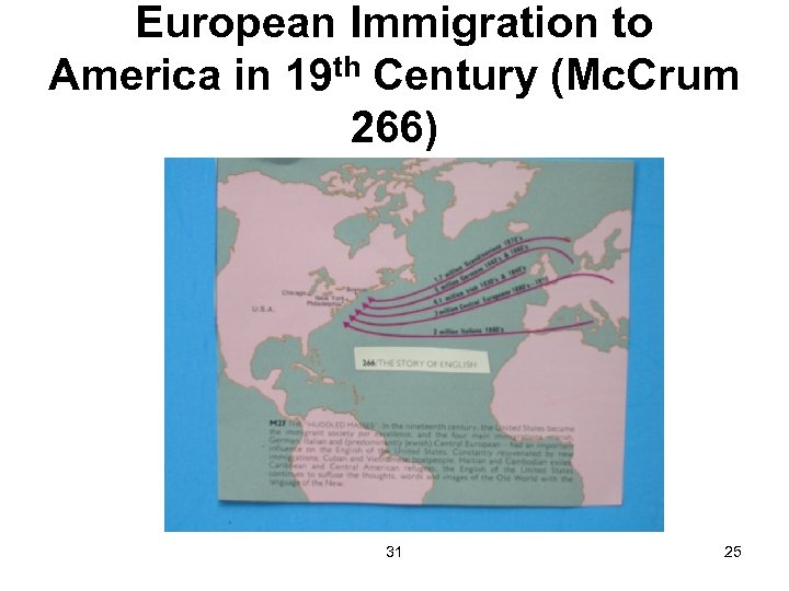 European Immigration to America in 19 th Century (Mc. Crum 266) 31 25 
