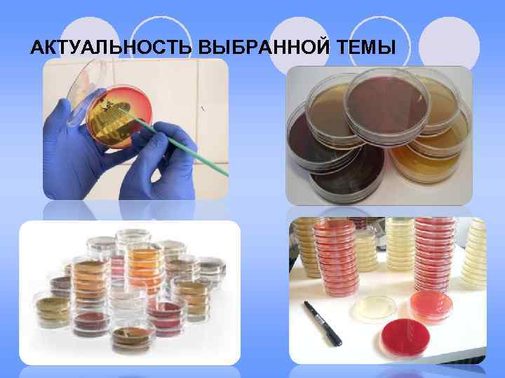 АКТУАЛЬНОСТЬ ВЫБРАННОЙ ТЕМЫ 