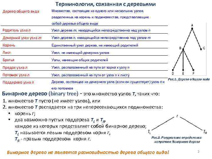 Терминология, связанная с деревьями Дерево общего вида Множество, состоящее из одного или нескольких узлов,