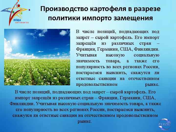 Производство картофеля в разрезе политики импорто замещения В числе позиций, подпадающих под запрет –