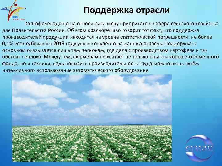 Поддержка отрасли Картофелеводство не относится к числу приоритетов в сфере сельского хозяйства для Правительства