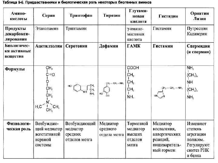 Биогенные амины 