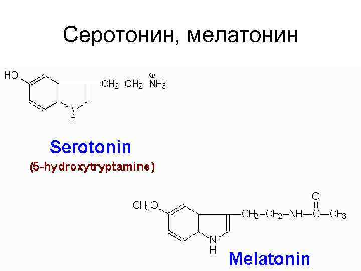 Серотонин, мелатонин 