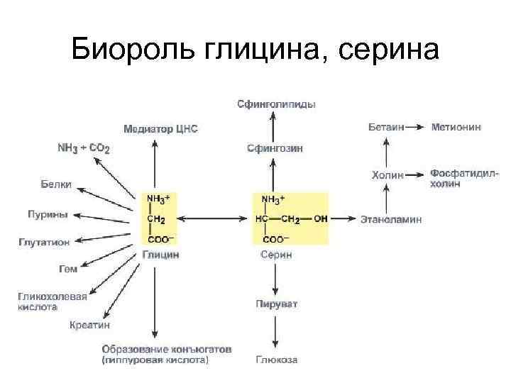 Биороль глицина, серина 