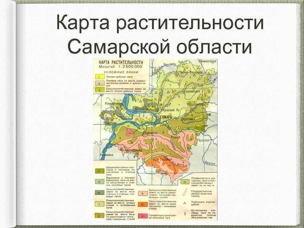 Геологическая карта самарской области для скважин на воду