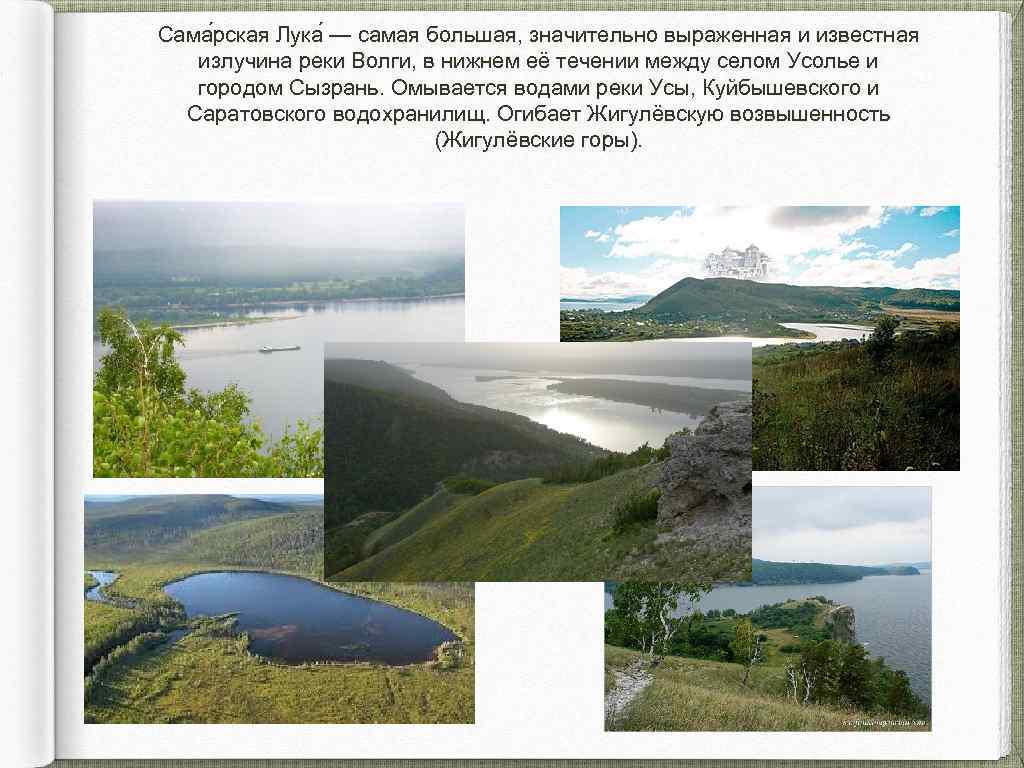 Река волга какая природная зона. Природные зоны Самарской области. Растительный мир Самарского края. Разнообразие природы Самарской области. Природа Самарской области презентация.