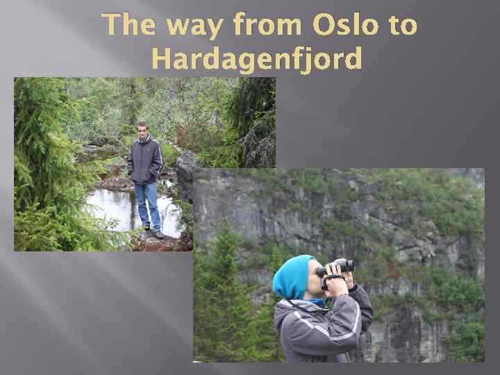 The way from Oslo to Hardagenfjord 