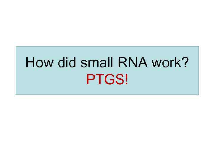 How did small RNA work? PTGS! 
