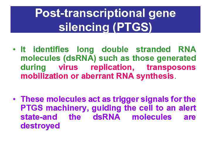 Post-transcriptional gene silencing (PTGS) • It identifies long double stranded RNA molecules (ds. RNA)