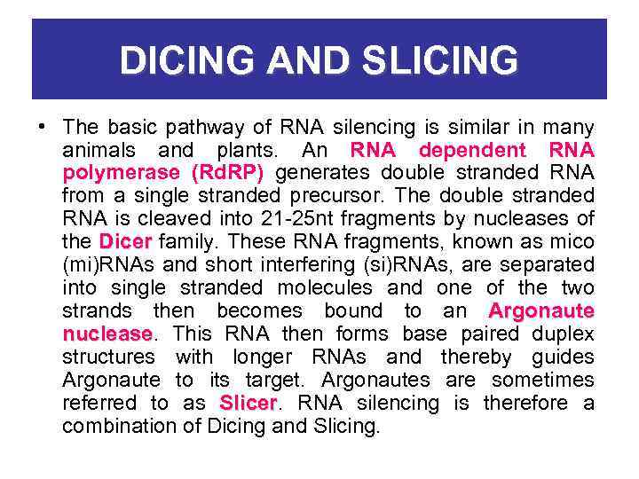 DICING AND SLICING • The basic pathway of RNA silencing is similar in many
