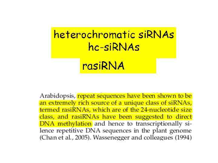 rasi. RNA 