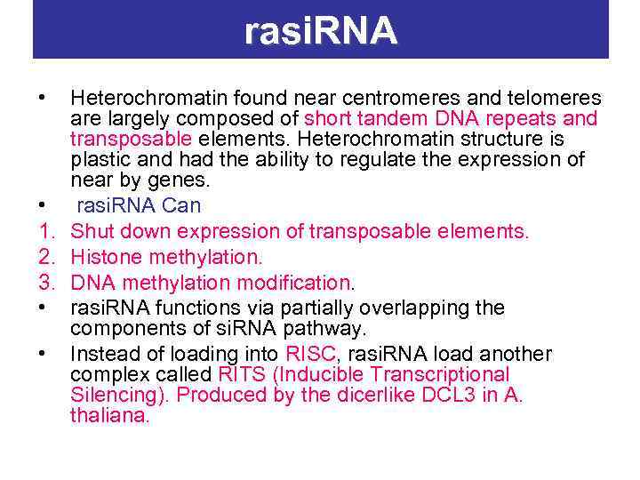 rasi. RNA • Heterochromatin found near centromeres and telomeres are largely composed of short