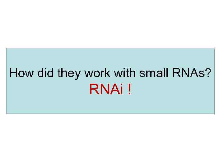 How did they work with small RNAs? RNAi ! 