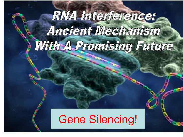 Gene Silencing! 