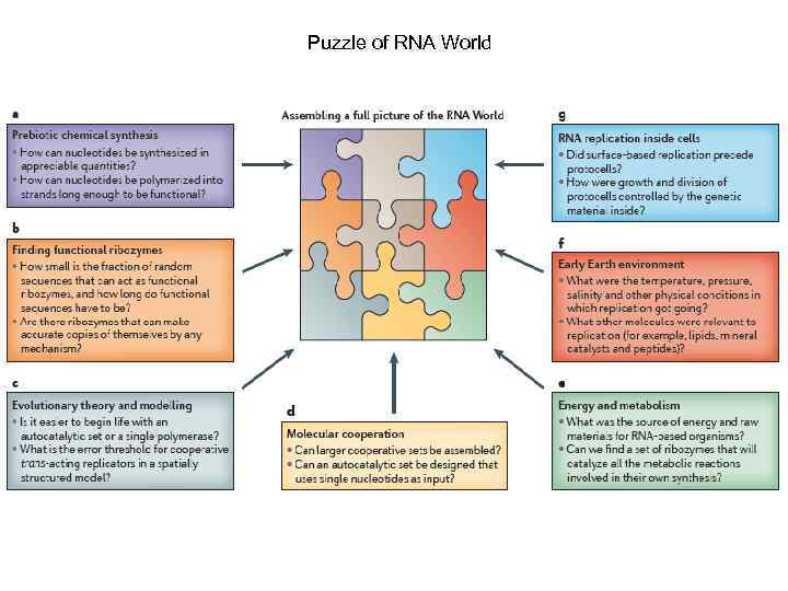 Puzzle of RNA World 