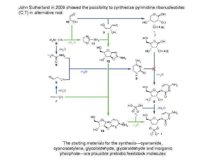 John Sutherland in 2009 showed the possibility to synthesize pyrimidine ribonucleotides (C, T) in