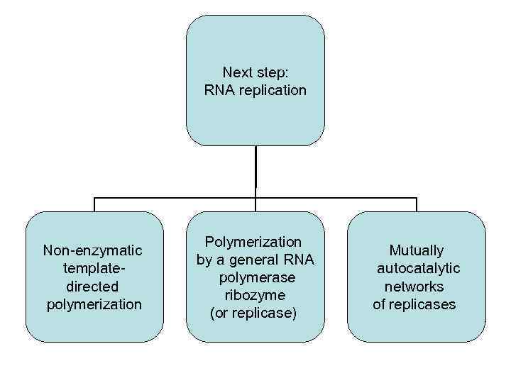 Next step: RNA replication Non-enzymatic templatedirected polymerization Polymerization by a general RNA polymerase ribozyme