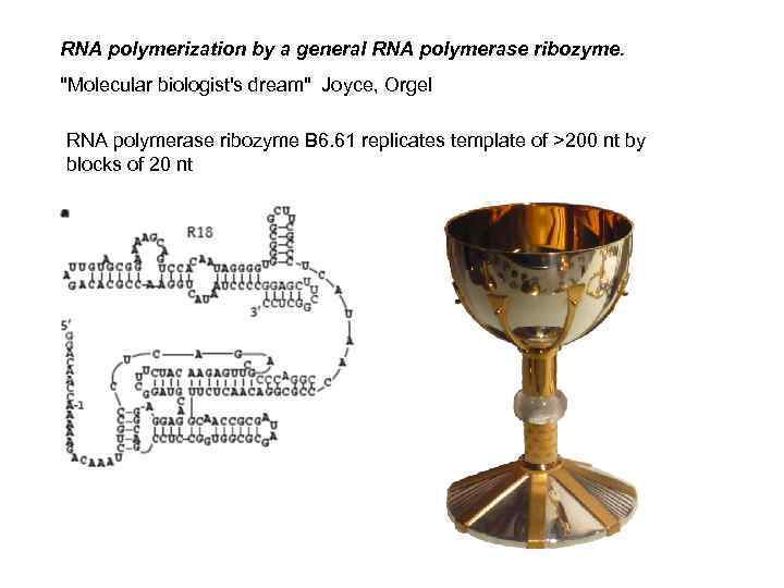 RNA polymerization by a general RNA polymerase ribozyme. "Molecular biologist's dream" Joyce, Orgel RNA