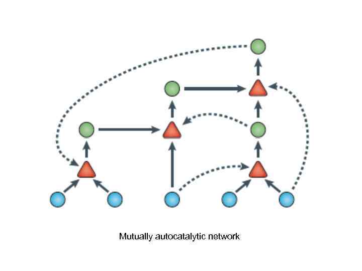 Mutually autocatalytic network 