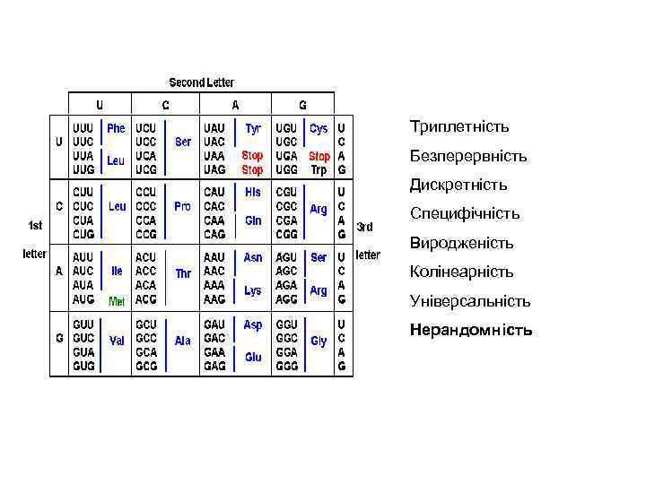 Триплетність Безперервність Дискретність Специфічність Виродженість Колінеарність Універсальність Нерандомність 