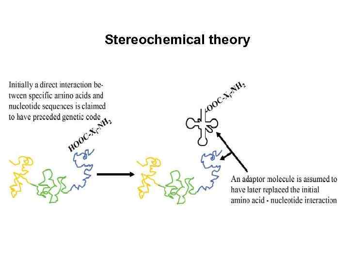 Stereochemical theory 