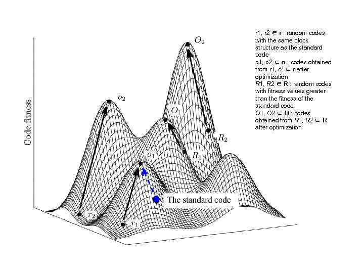 r 1, r 2 ∈ r : random codes with the same block structure