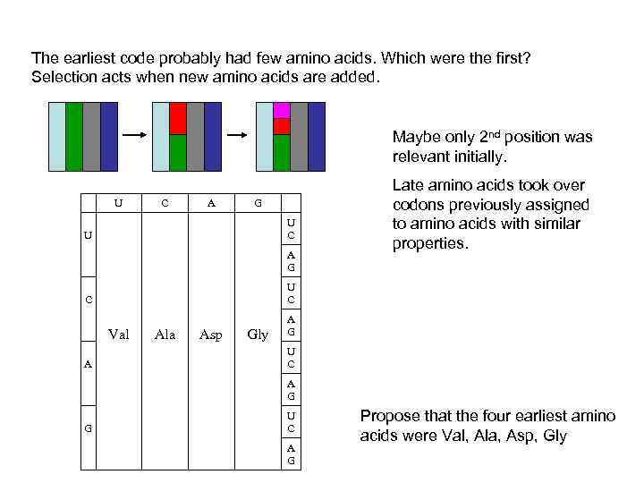 The earliest code probably had few amino acids. Which were the first? Selection acts