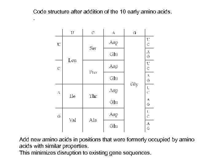 Code structure after addition of the 10 early amino acids. . Add new amino