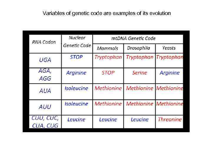 Variables of genetic code are examples of its evolution 