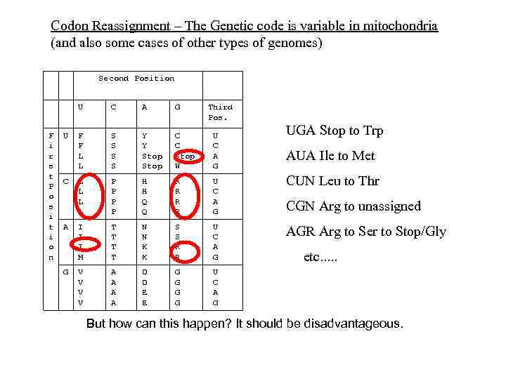 Codon Reassignment – The Genetic code is variable in mitochondria (and also some cases