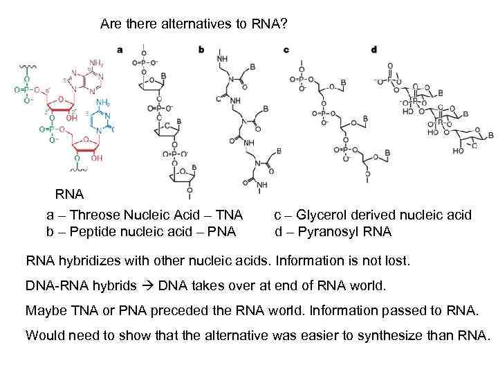 Are there alternatives to RNA? RNA a – Threose Nucleic Acid – TNA b