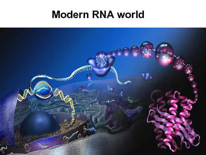 Modern RNA world 