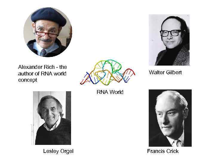 Alexander Rich - the author of RNA world concept Walter Gilbert RNA World Lesley