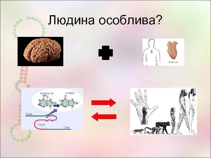 Людина особлива? 