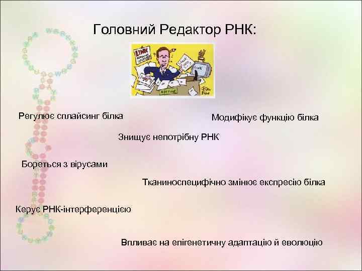 Головний Редактор РНК: Регулює сплайсинг білка Модифікує функцію білка Знищує непотрібну РНК Бореться з