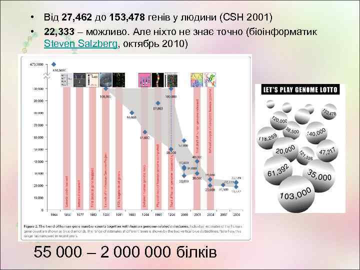  • Від 27, 462 до 153, 478 генів у людини (CSH 2001) •