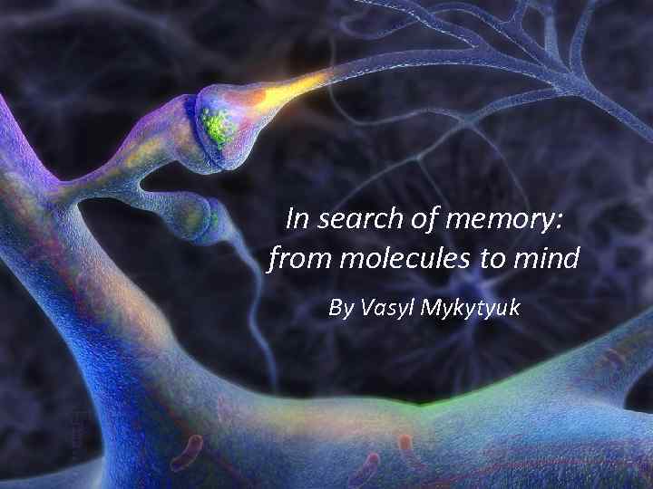 In search of memory: from molecules to mind By Vasyl Mykytyuk 