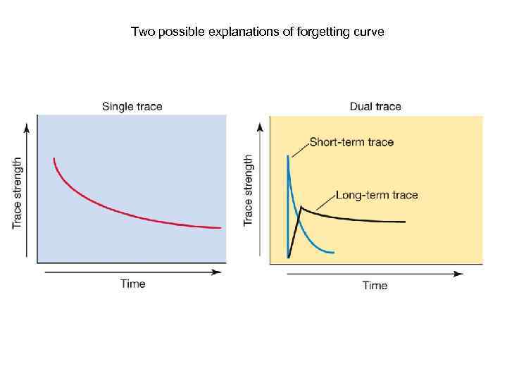 Two possible explanations of forgetting curve 