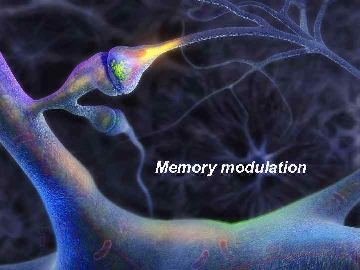 Memory modulation 