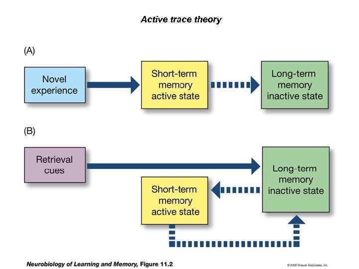 Active trace theory 