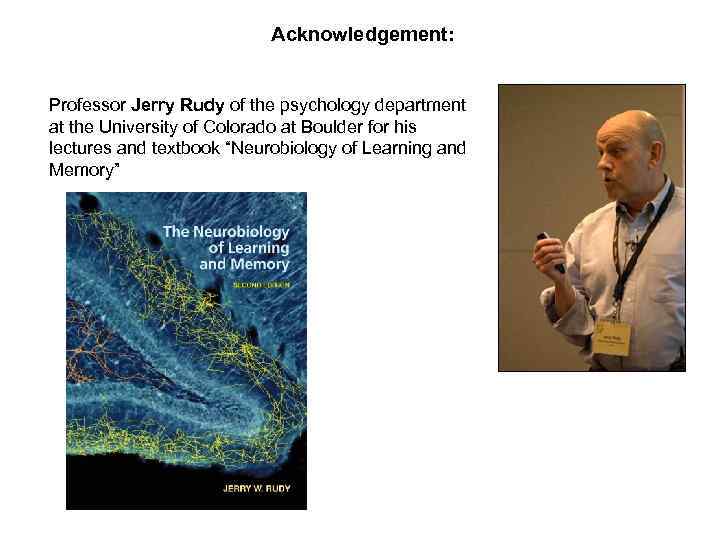 Acknowledgement: Professor Jerry Rudy of the psychology department at the University of Colorado at