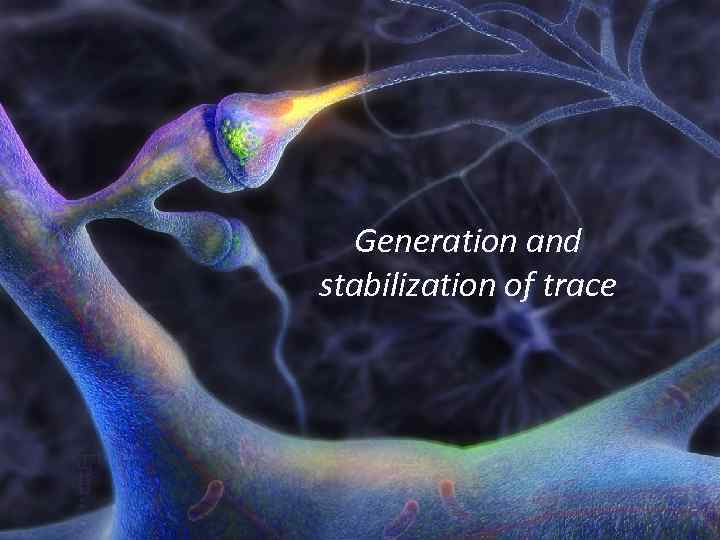 Generation and stabilization of trace 