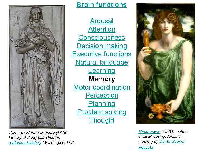 Brain functions Arousal Attention Consciousness Decision making Executive functions Natural language Learning Memory Motor