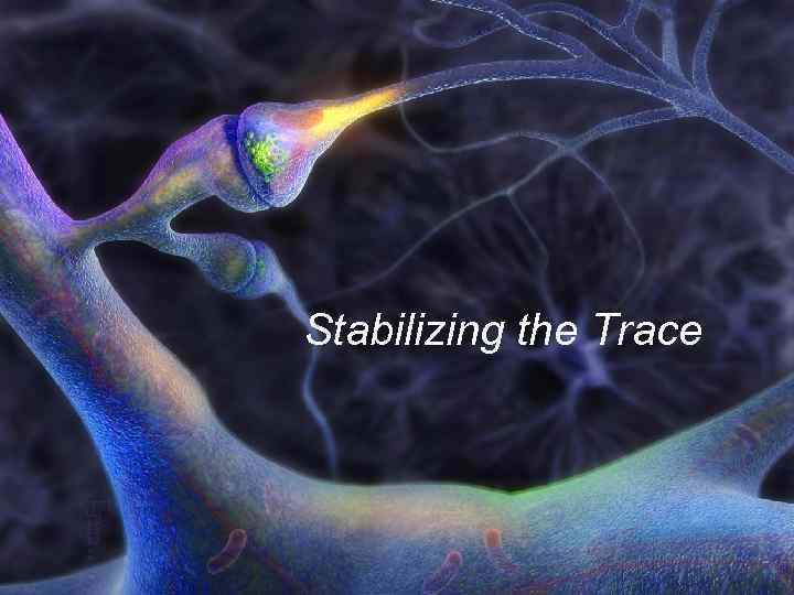 Stabilizing the Trace 