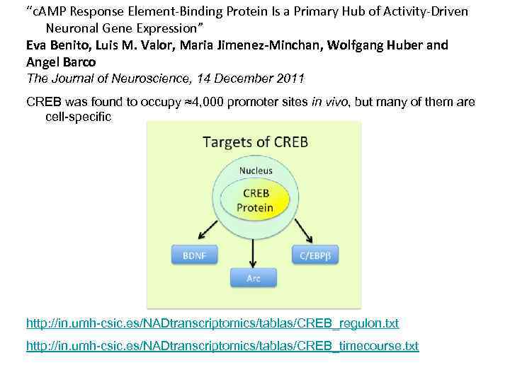 “c. AMP Response Element-Binding Protein Is a Primary Hub of Activity-Driven Neuronal Gene Expression”