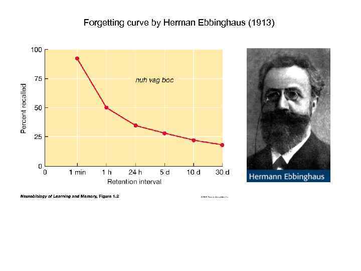 Forgetting curve by Herman Ebbinghaus (1913) 